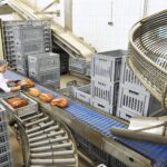 Die unsichtbare Infrastruktur hinter sicheren Lebensmitteln